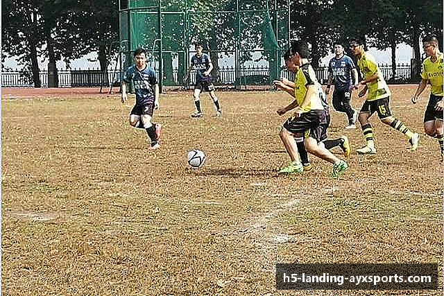 用户常见的问题解答?